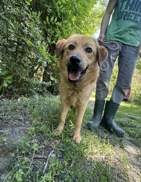 Debi, geb. 06.2024, 56cm sucht ihr Zuhause