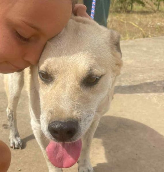 Max - seeehr verschmust u. lieb!