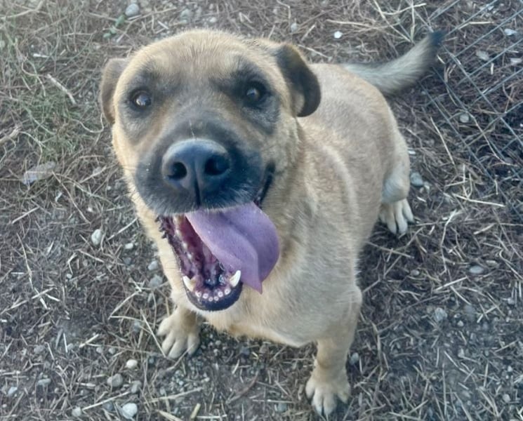 Lemonaria, unkomplizierte, liebe und fitte Seniorin