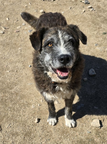 Luke: probiers mal mit Gemütlichkeit