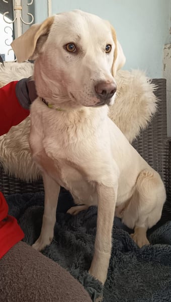 Fröhlich und temperamentvoll - Erika