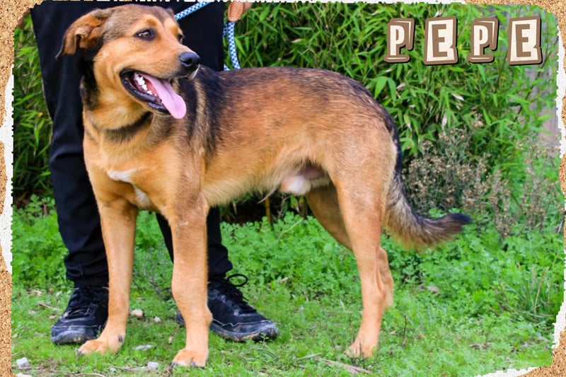 Freundlich – Sanft – Unkompliziert = • P•E•P•E •