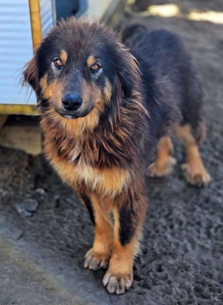 Thea – sanft und aufmerksam