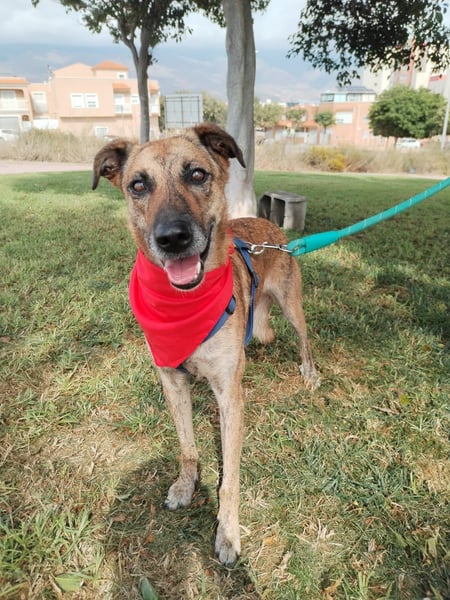 LOLA mag es sportlich