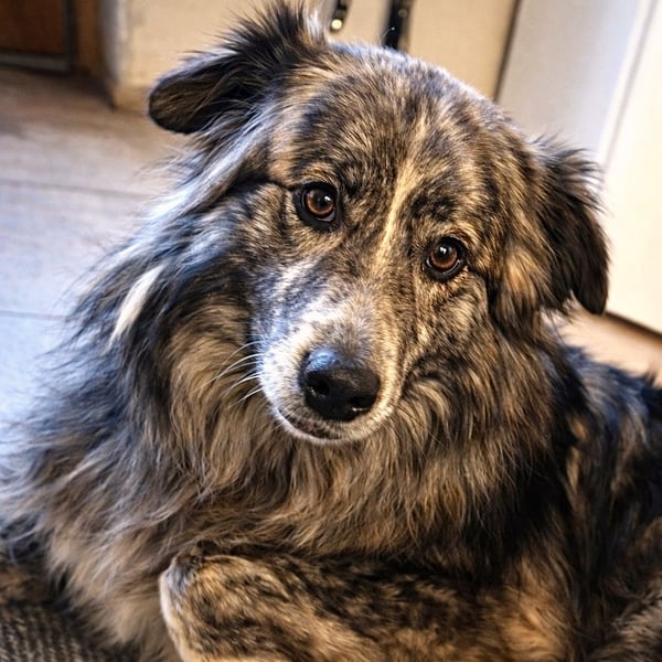 Marlon: „Würden Sie sich meiner annehmen?“