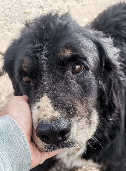 Bernie: "Ich sehe bloß cool aus"