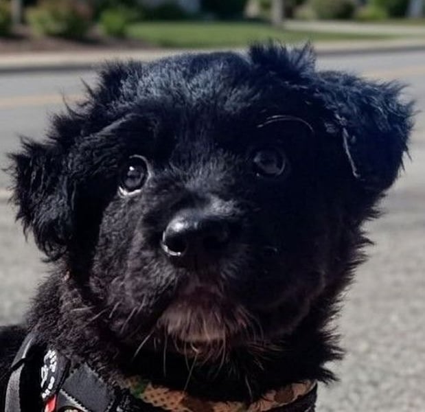 Blu - mutterseelenallein gefunden