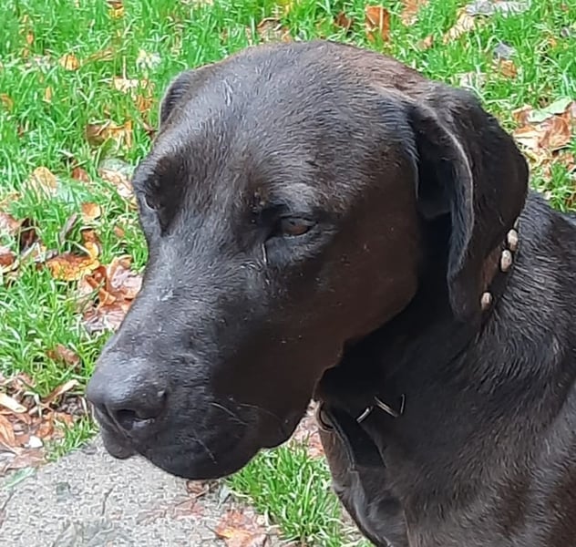 Santal - Lebensfreude pur