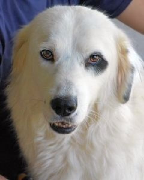 Peeke - Es ist höchste Zeit!