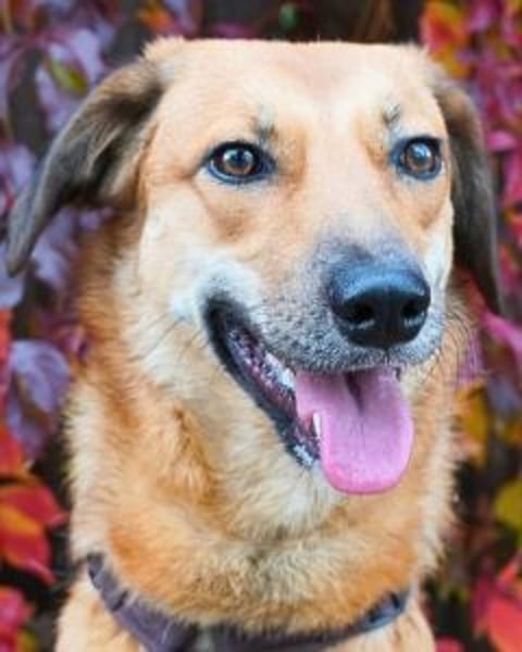 Rihanna - Es hat ihr nichts genützt