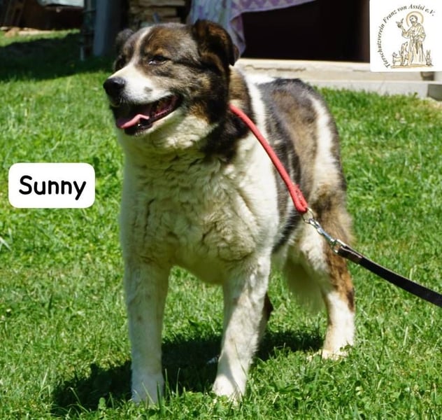 Sunny – Gemütlichkeit kennt keinen Feierabend!