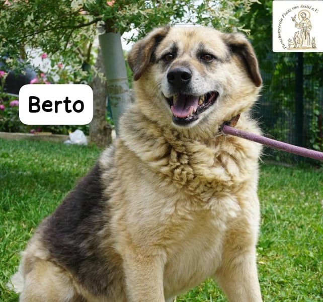 Berto – Sein Herz ist voller Neugier und Vertrauen!