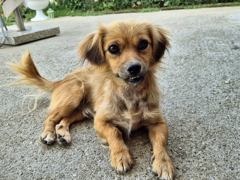 LUCKY - will die Welt entdecken
