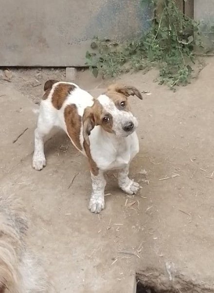 LORD -  Traumzuhause gesucht