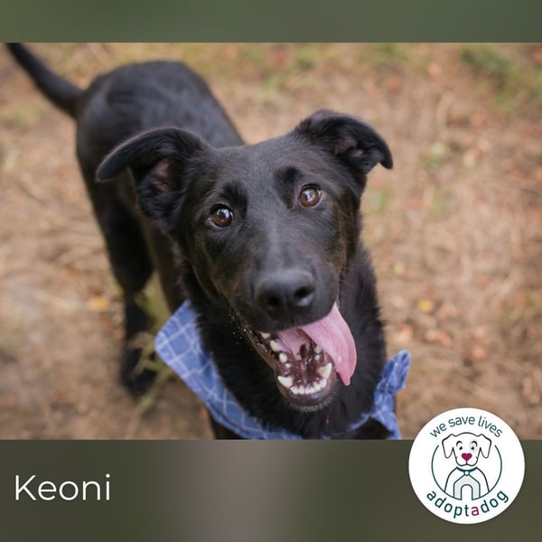 Keoni: ein kleiner Held mit großem Herzen