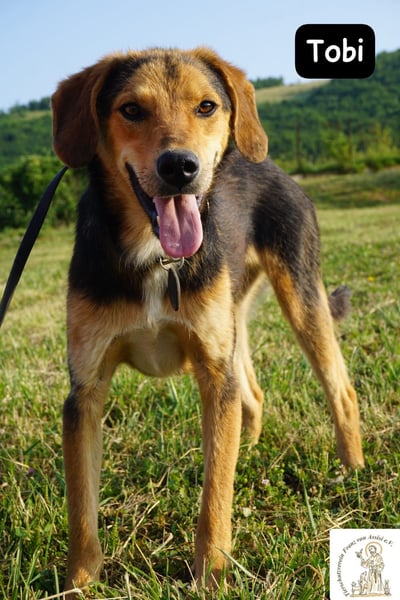 Tobi – Ready to Rock!
