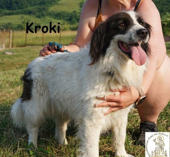 Kroki – Ein Blick, der genügt