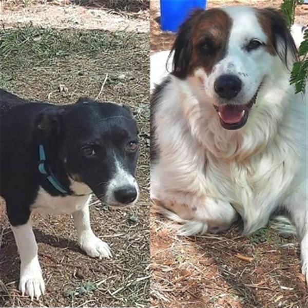 Fatima und Sevi - zwei ganz liebe Mädels