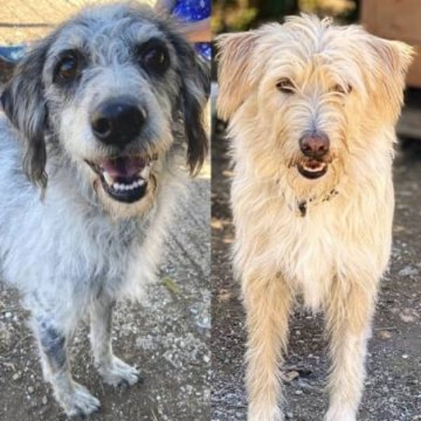 Cookie und Maya - Tochter/Mutter Dream Team