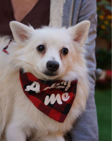 Ted SR, sucht Liebe und Zuneigung