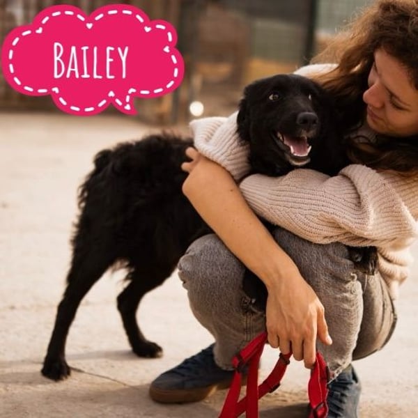 Bailey hofft auf eine Familie