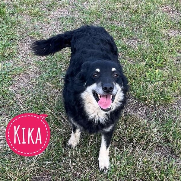 Kika ein Traumwesen