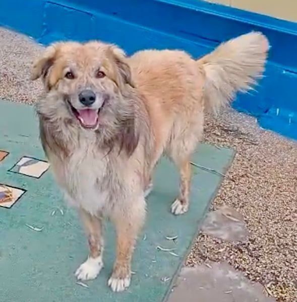 Honey, hofft auf seine Chance