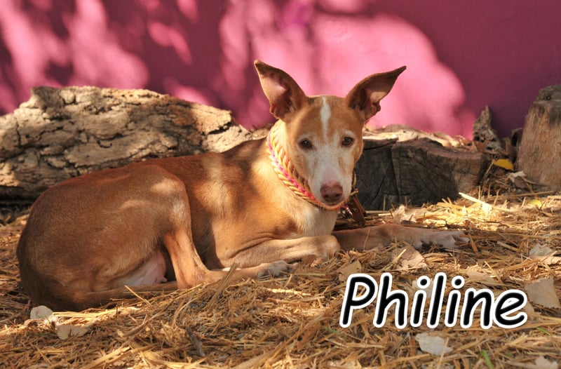 Öffnen Sie ihr Herz für Philine?