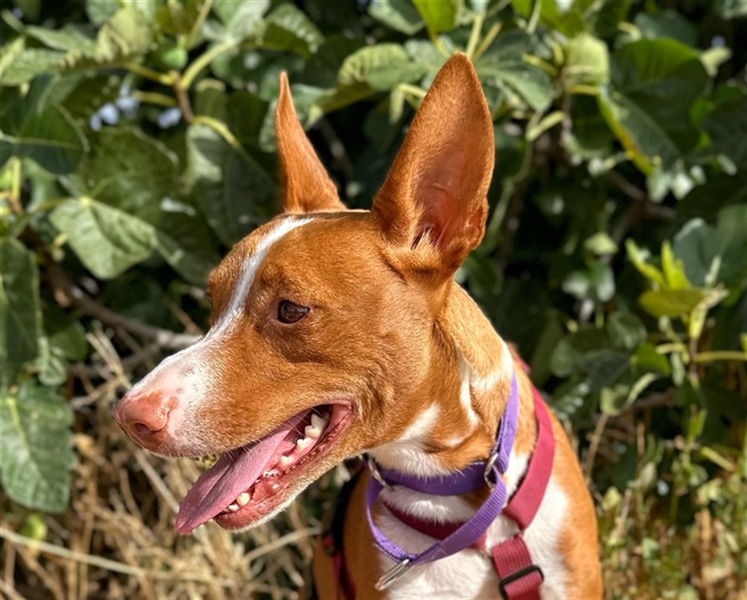 Framzy – muss Liebe lernen