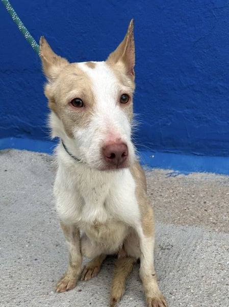 Atreu, freundlich und sehr sozial