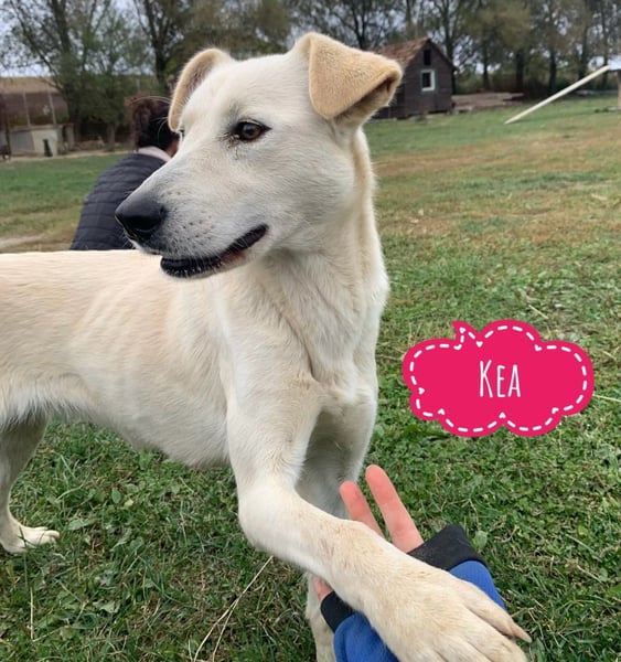 Lea eine wundervolle freundliche