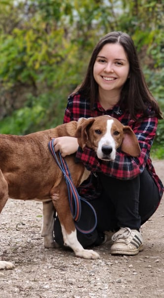 Max - unkomplizierte Savetal Bracke