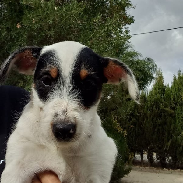 Betty