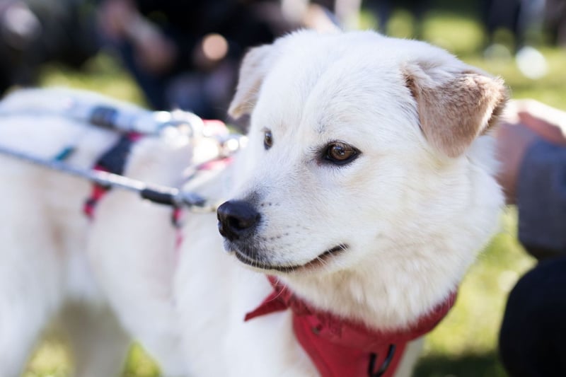 Cindy ❤️ wartet in 12529 Schönefeld
