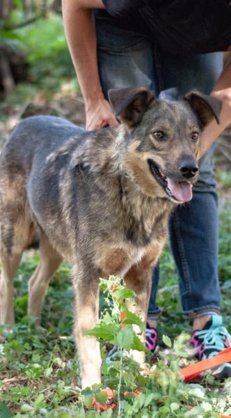 JAMALA Verbreitet Freude (Ukraine)