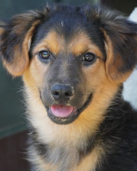 Leonilde -  Wenn Du mich holst, hab ich Dich lieb