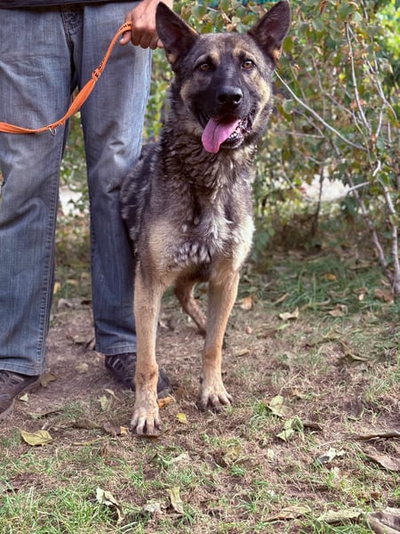 Mars - voller Freude ins neue Zuhause