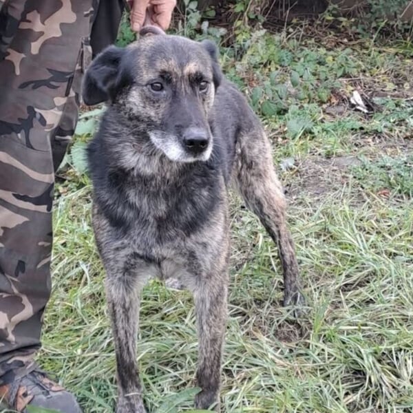 BARON WURDE ALLEINE ZURÜCKGELASSEN