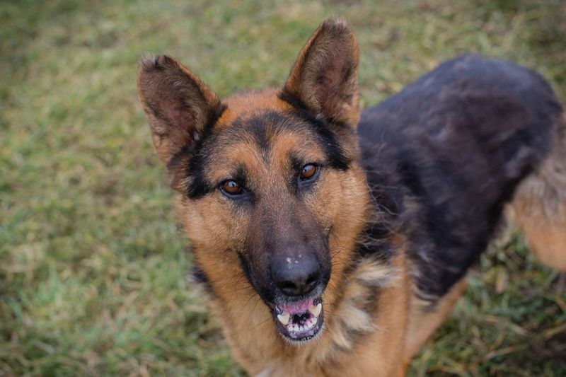 MONGI - Ich freue mich darauf, mit meinen Menschen die Welt zu entdecken!