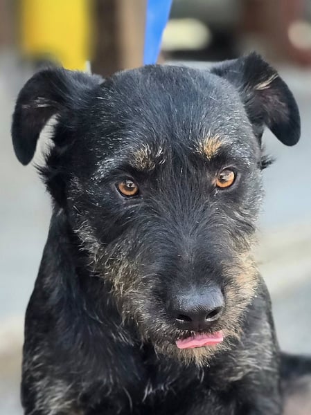 ❤️ Roby Pflegefamilie Erkelenz