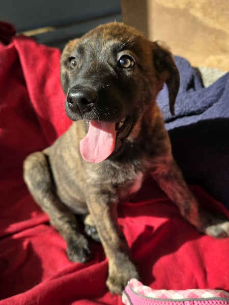 Esedra: bereit für eine eigene Familie