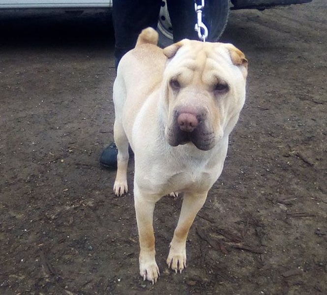 Michelle sucht ihre Familie