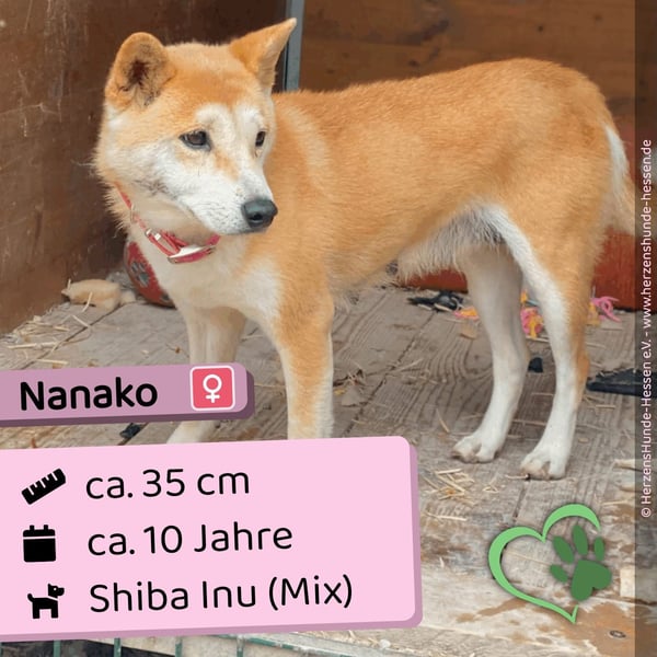 Nanako