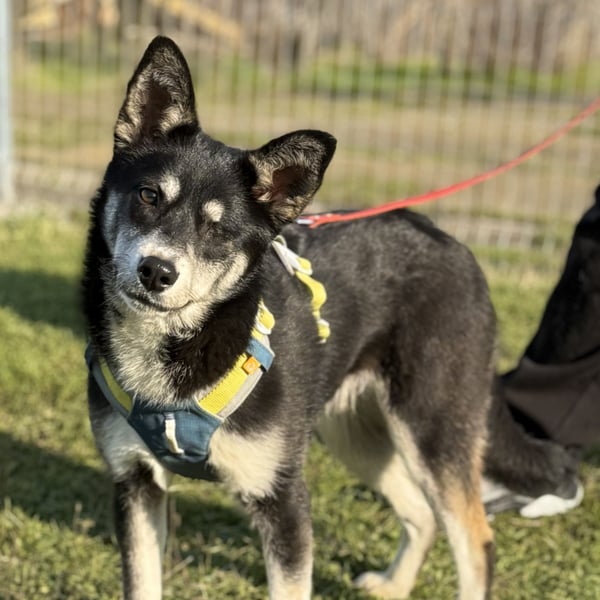 Hübsche Alexa sucht eine liebevolle Familie