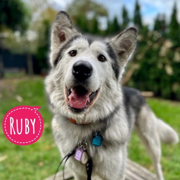 Ruby ein wunderhübsches Mädchen