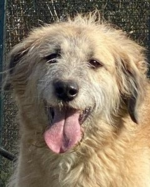 Eva - Die Zeiten ändern sich