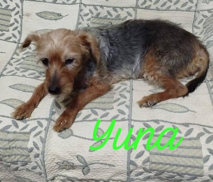 ❤️ YUNA ❤️  ❗NOTFALL❗