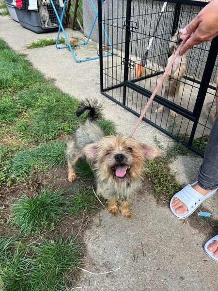 Polly, geboren 01.01.2021, 32cm sucht ihr eigenes Glück