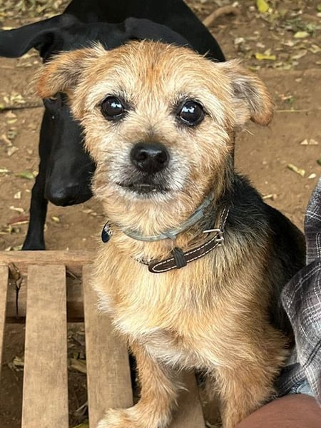 Micky ist ein Traumjunge und liebt das Leben