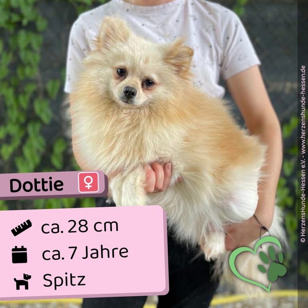 Dottie